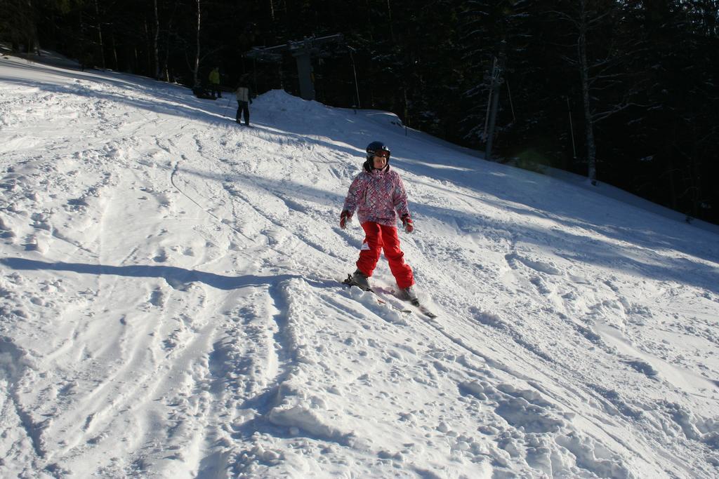 Penzion Pampeliska Pec pod Sněžkou Extérieur photo